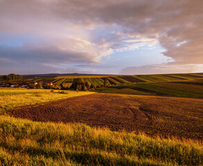 Wall Mural - Spring yellow flowering rapeseed and small farmlands fields