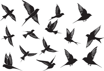 Wall Mural - Set of Birds Flying Black Silhouettes