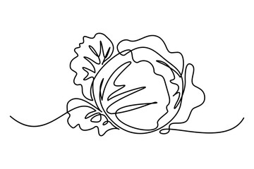 Sticker - Cabbage in continuous line art drawing style. Black linear sketch isolated on white background. Vector illustration