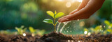 Fototapeta  - A caring hand watering a young sapling planted in fertile soil, with droplets of water and sunlight highlighting the importance of nurturing growth. Earth day.