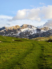 Wall Mural - Snowy moutains in the Southern Alps