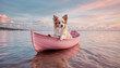 dog on a pink boat at sunset