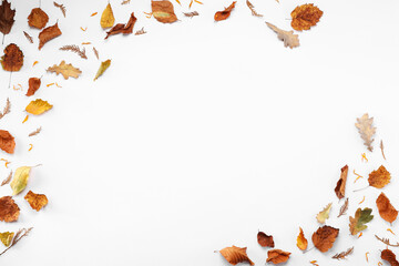 Wall Mural - Frame of dry autumn leaves on white background, flat lay. Space for text