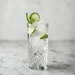 Gin and Tonic with lime and ice in a highball glass, simple and elegant - mojito cocktail on table