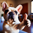 Puppy Boxer Dog Thumbs Up, Happy doggy smiling and agree with you! Funny meme