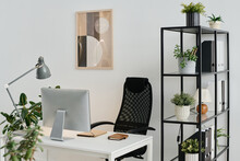 No People Shot Of Modern Workplace Design In Office With Computer On Table, Comfortable Chair, Houseplants On Floor And Shelves
