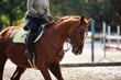 © RD-Fotografie - Horse woman rider riding in the sunshine at the riding arena.
