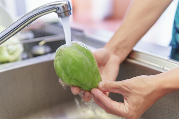 Canvas Print - Woman hands washing fresh green chayote in a kitchen