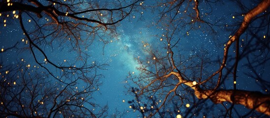 Poster - Serenity of a surreal night sky with twinkling stars and silhouetted trees