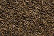 caraway seeds photographic background wall texture pattern seamless wallpaper