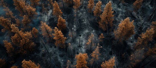 Sticker - A bird's eye view of a dark forest with lush green trees, water bodies, and rocky terrain in the landscape