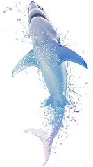 Wall Mural - Line Graphic Abstract Shark