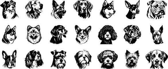 Wall Mural - Dog breeds heads vector illustration. Pet portrait in style of hand drawn black doodle on white background