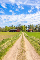 Wall Mural - Gravel road to a farm in the swedish countryside