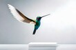 hummingbird in flight on solid background