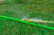 Awaria węża ogrodowego w czasie podlewania trawnika wyciek wody nieszczelność 