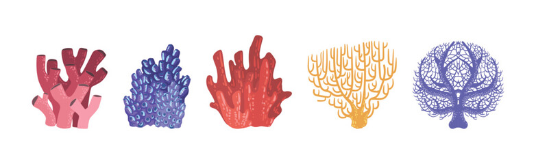 Sticker - Colorful Reef Coral and Marine Hydranths Vector Set