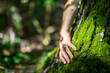 © shaploff - A man's hand touch the tree trunk close-up. Bark wood. Caring for the environment. The ecology concept of saving the world and love nature by human