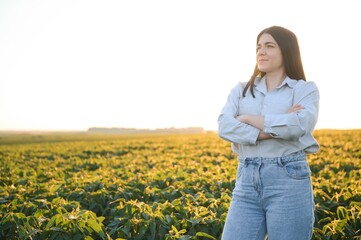 Canvas Print - Caucasian female farm worker inspecting soy at field summer evening time.