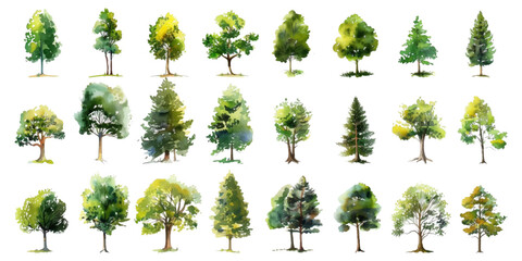 Set of watercolor trees on a white background