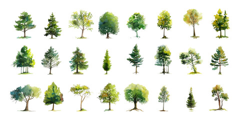 Wall Mural - Set of watercolor trees on a white background