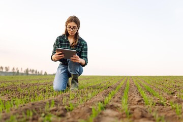 Wall Mural - Farmer woman  checking the quality of the new crop. Agronomist analysis the progress of the new seeding growth. Concept of gardening, ecology.