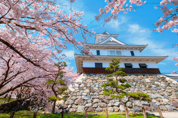 Poster - Nagahama Castle in Shiga Prefecture, Japan during full bloom cherry blossom 