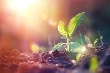 Poster - Nurturing embrace of earth young sapling symbolizes miraculous journey of growth and life in heart of nature small but resilient plant set against backdrop of fertile soil is vibrant and gardening