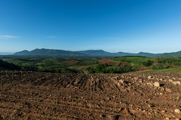 Wall Mural - beautiful landscape from the country in thailand.
