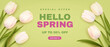 Spring special offer vector banner background with spring season sale text and tulip flowes. Can be used for web banners, wallpaper, flyers