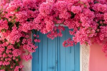 A Bright Cluster Of Pink Bougainvillea Flowers Cascades Over A Blue-painted, Rustic Wooden Door, Contrasting Sharply With The Pink Wall On A Sunny Day.