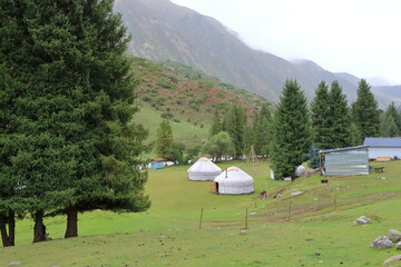 Wall Mural - landscape near Jeti Oguz gorge with yurts and green meadows on a cloudy day