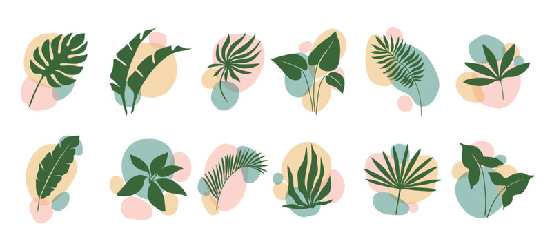 boho leaf and plants, abstract organic shapes floral art and minimalist graphic design, vector set. 