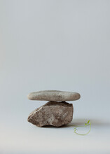 Stone And Sprout , Still Life On A Light Background