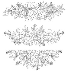 Wall Mural - Line art eucalyptus leaves arrangement set. Outline vintage botanical vector drawing on transparent background. Trendy greenery elements for logo, tattoo, packaging, wedding invitations, stickers.