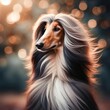Portrait of a half-body Afghan hound standing straight facing slightly to the right, against a background full of lights and morning sunlight