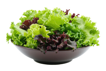 Wall Mural - Mixed lettuce leaves in bowl