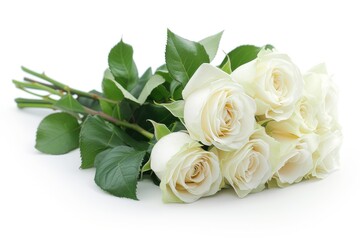 Poster - Beautiful white roses perfect for gifting on special occasions