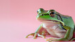 Realistic frog on a peach fuzz pantone 2024 background