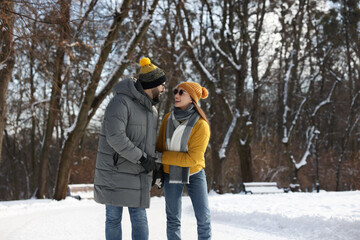 Poster - Beautiful happy couple walking in snowy park on winter day