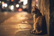 Solitary Feline Confronting The Cruel Realities Of Street Life. Сoncept Abstract Art Exhibition, Serene Landscapes, Macro Photography, Candid Street Portraits, Vibrant Street Art