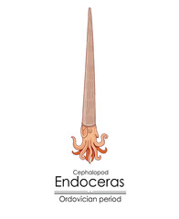 Poster - Endoceras, an Ordovician period cephalopod. Colorful illustration on a white background