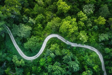 Wall Mural - A winding road cuts through a lush forest, creating a picturesque scene in the midst of nature, An aerial shot of a long, winding running trail, AI Generated