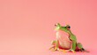 Green frog on pink background with copy space