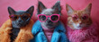 Fierce felines flaunt fashionable eyewear, purring with pride in their pink sunglasses
