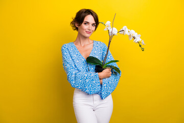 Sticker - Photo of sweet adorable woman wear flower print blouse holding big flower pot isolated yellow color background