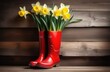 © Tatiana Munko - A bouquet of daffodils in red rubber boots in the form of a vase on a wooden background. Creative spring composition. Space for text.