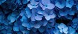 A blooming cluster of blue hydrangea flowers, symbolizing plenty.