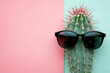 Cactus with sunglasses in the style of minimalism on pastel background. Generative AI
