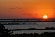 Sonnenuntergang über See mit Gänsen und Enten